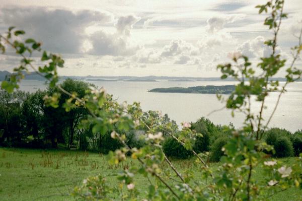 imm023