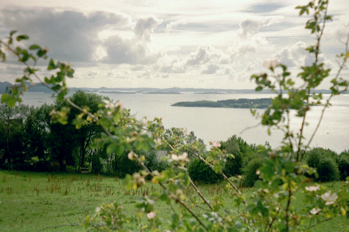 imm023