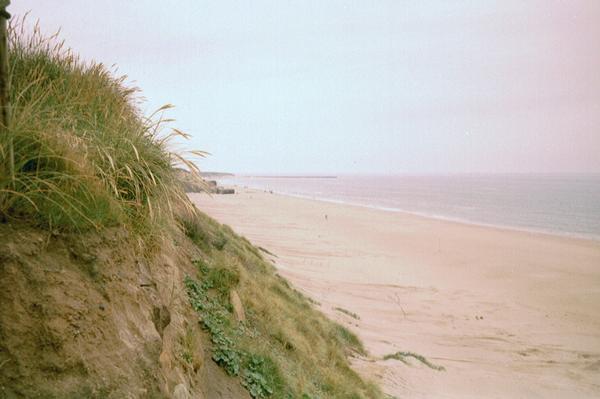 imm010