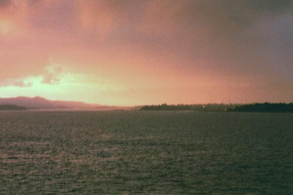imm005