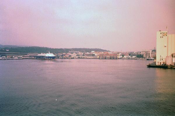 imm006