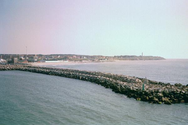 imm008