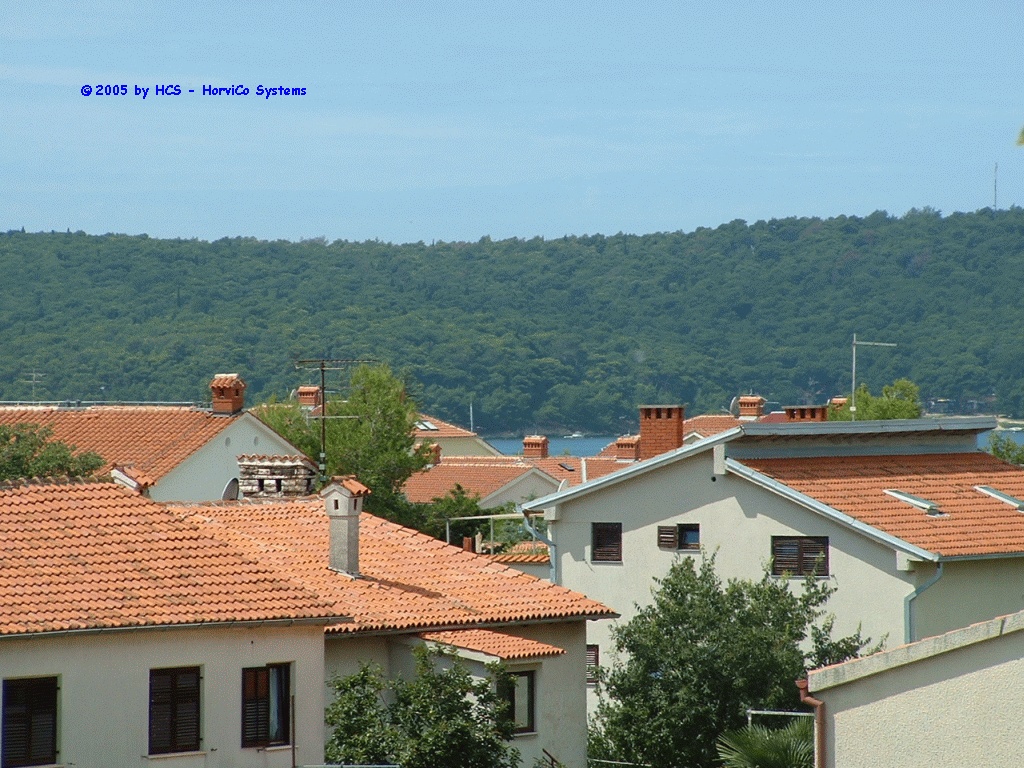 DSCF0004