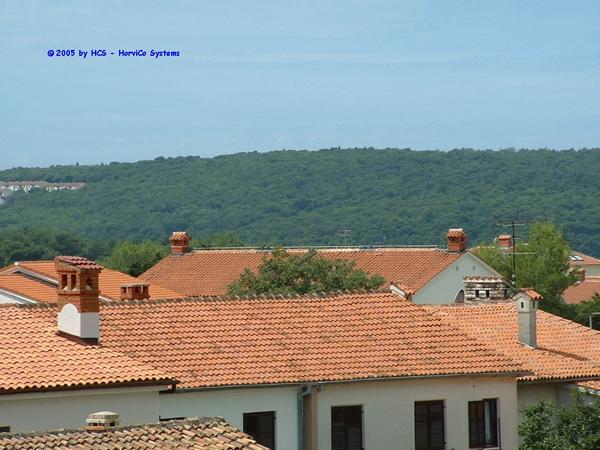 DSCF0005