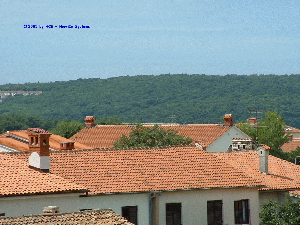 DSCF0005