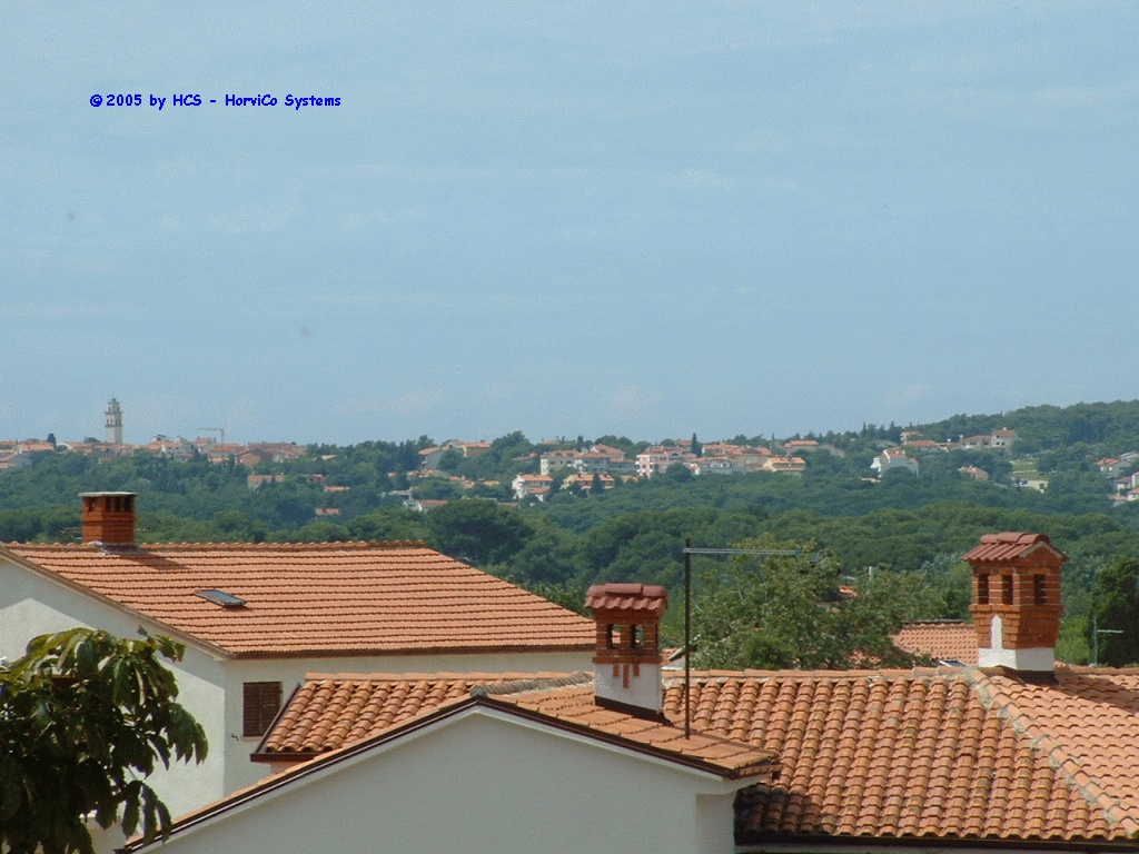 DSCF0006