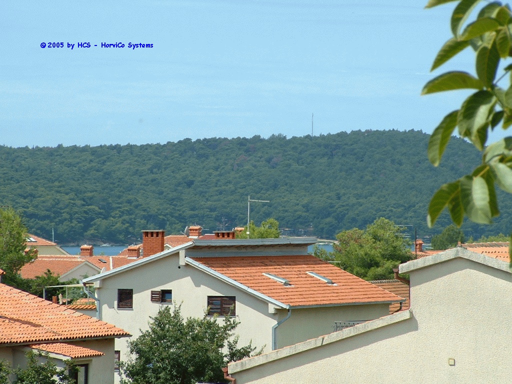 DSCF0008