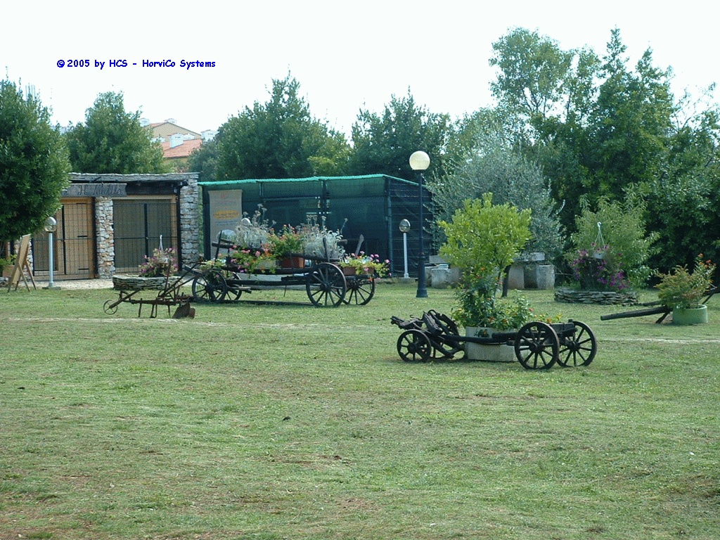 DSCF0025