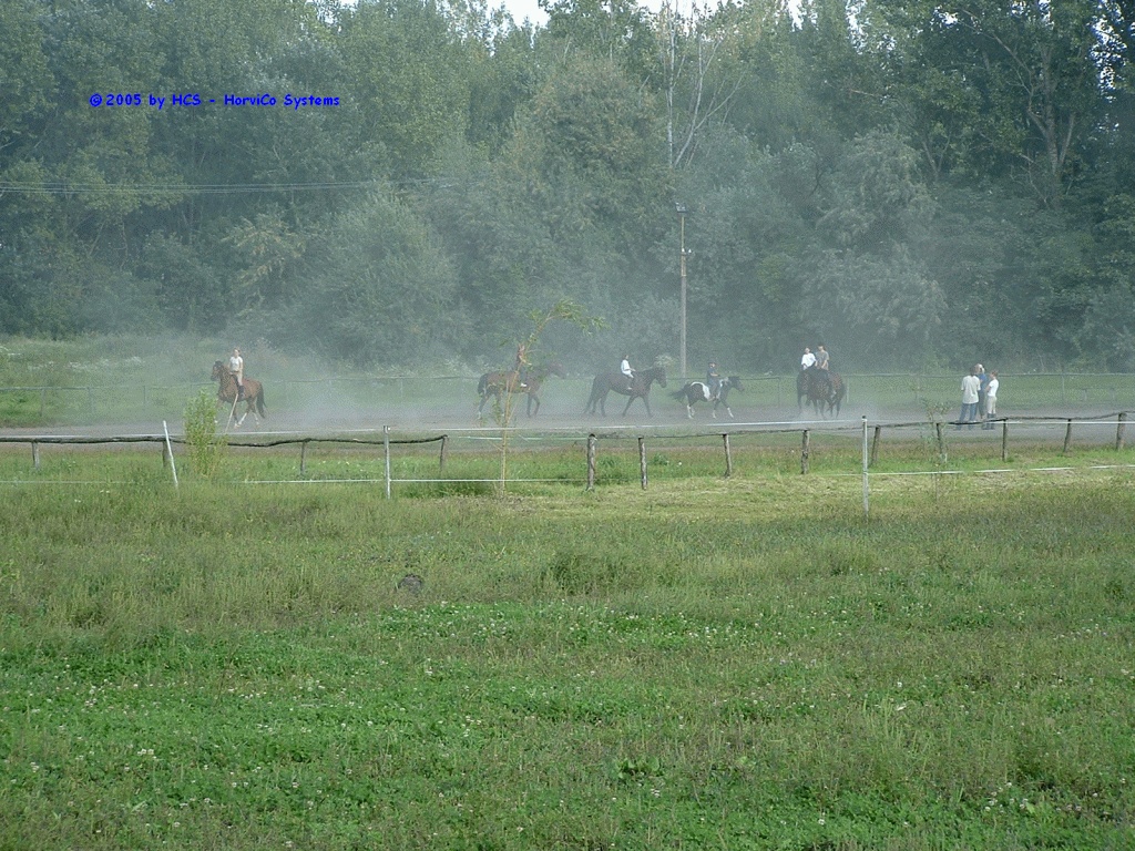 09-0019