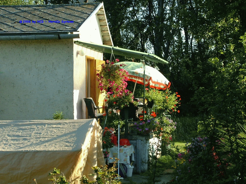 DSCF0009