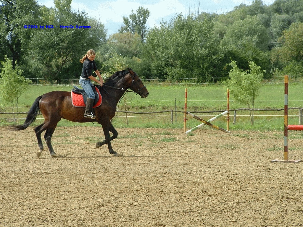 DSCF0031