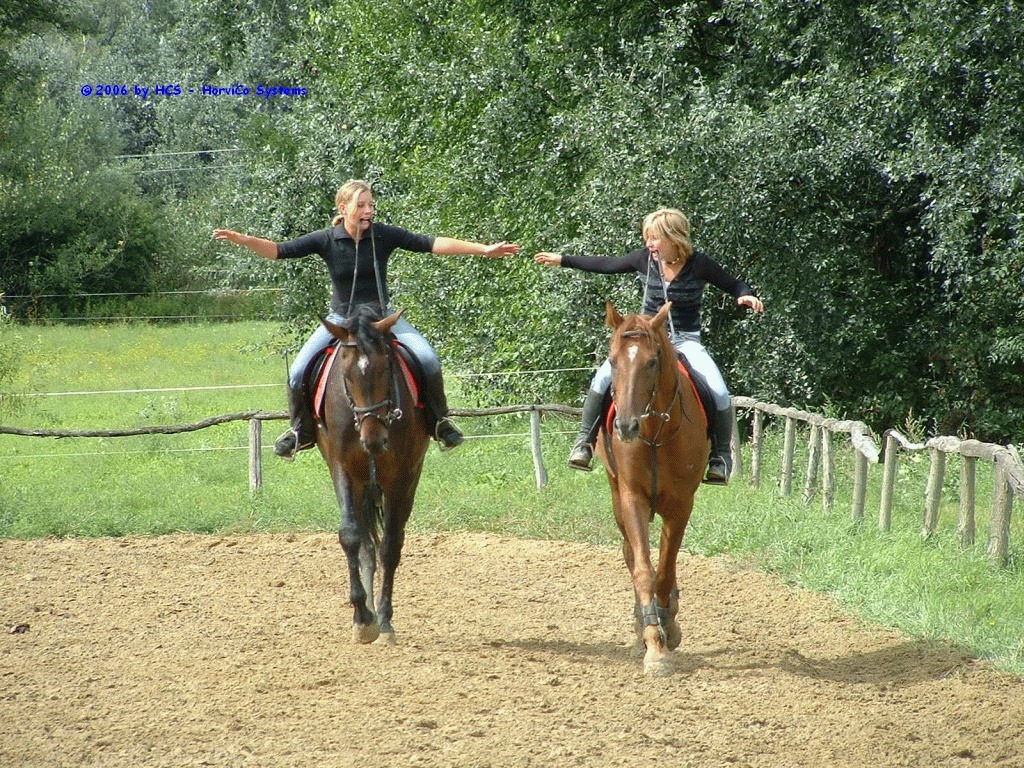 DSCF0033