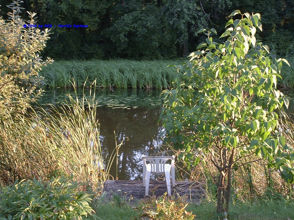 DSCF0010
