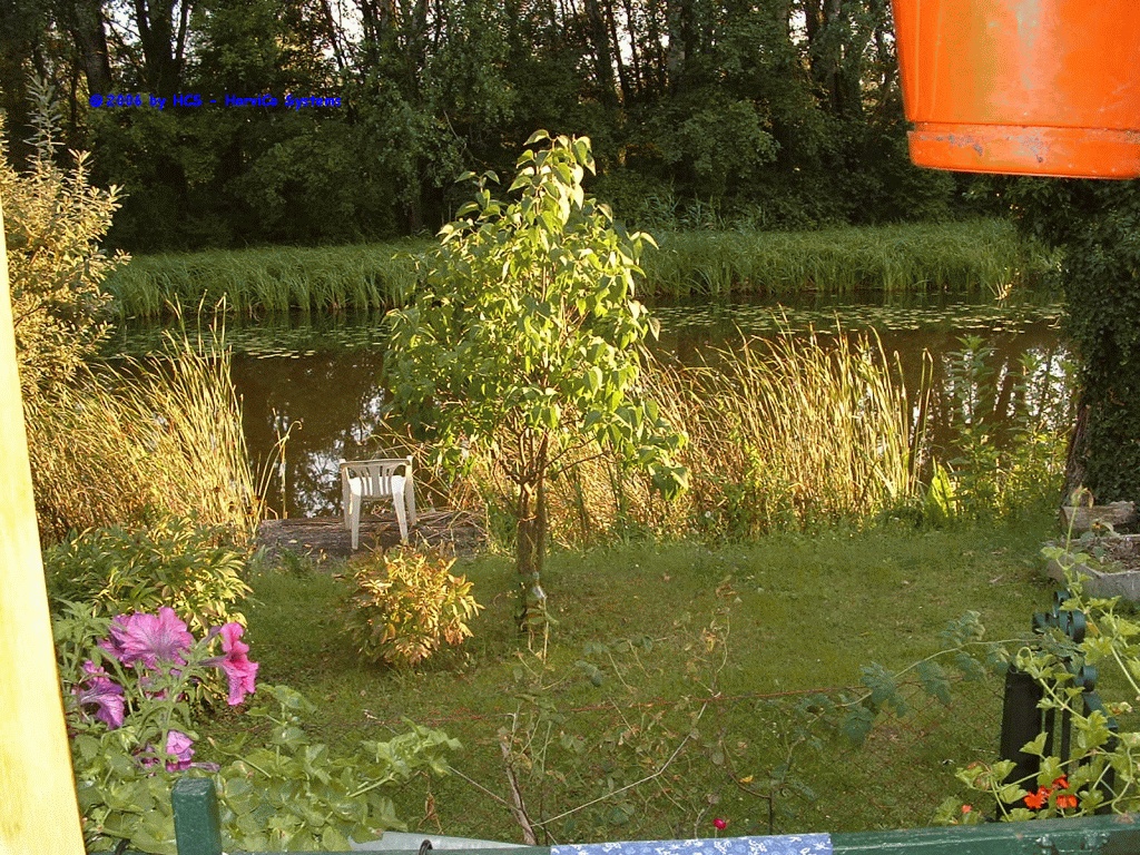 DSCF0007