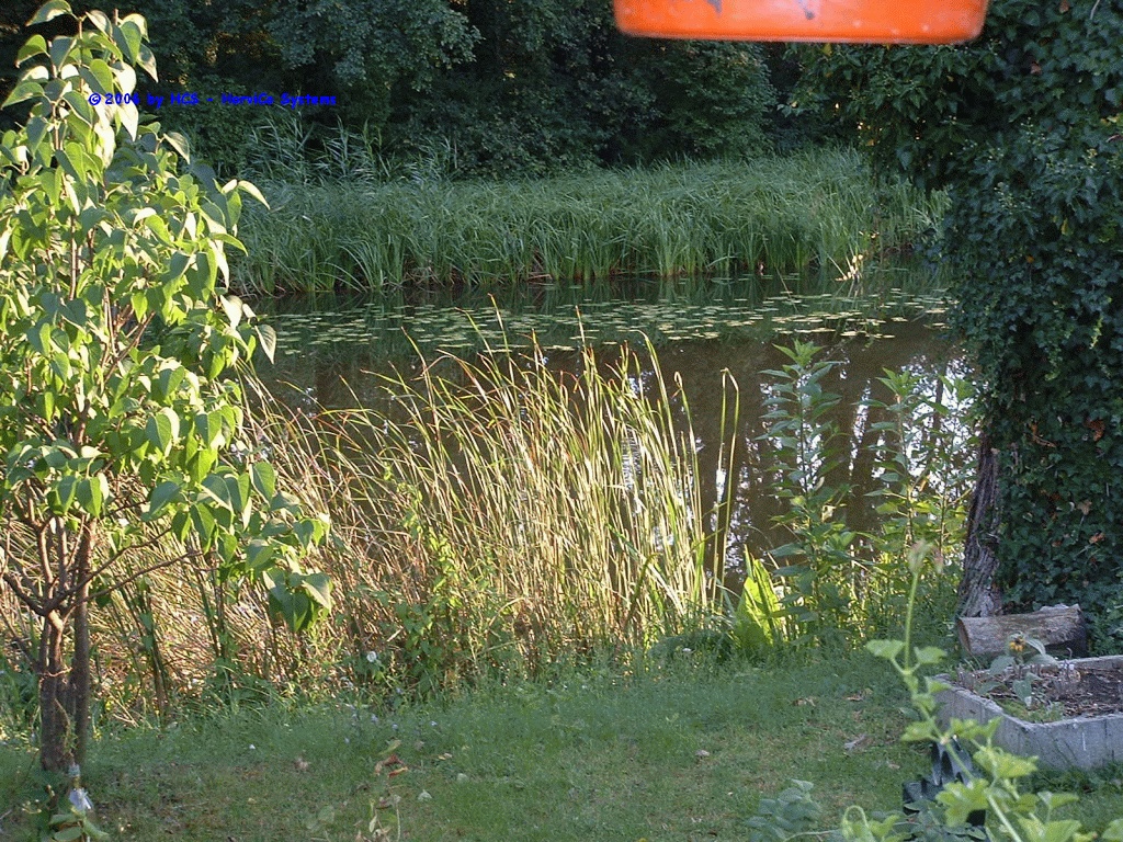DSCF0009
