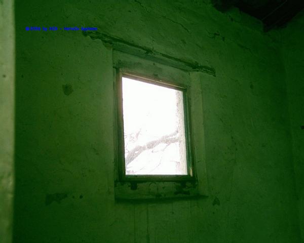 DSCI0010