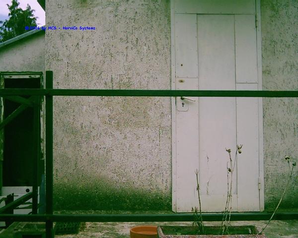 DSCI0061