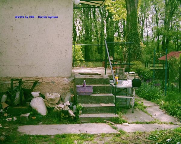 DSCI0065
