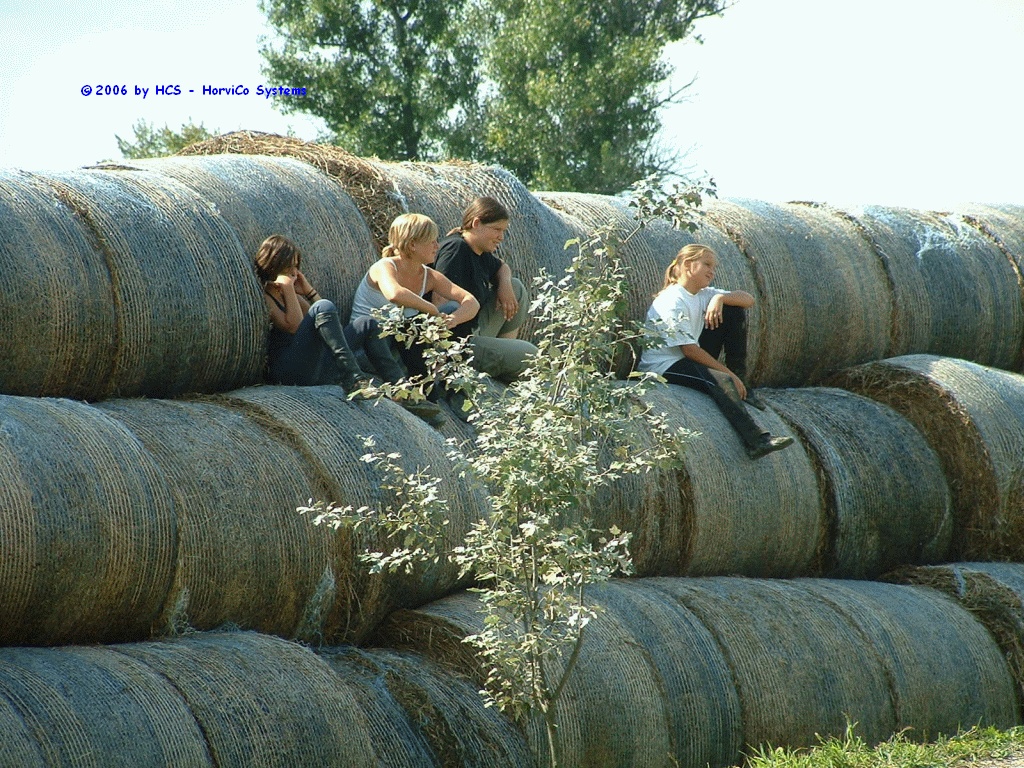 DSCF0007