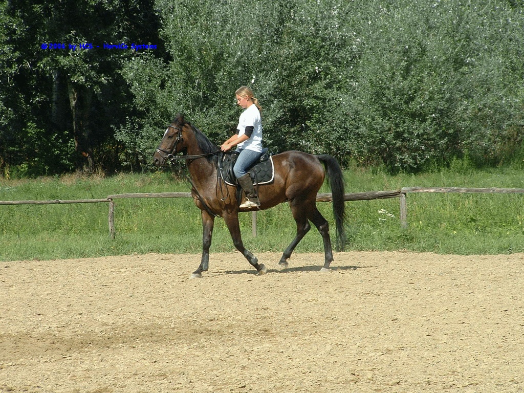 DSCF0021