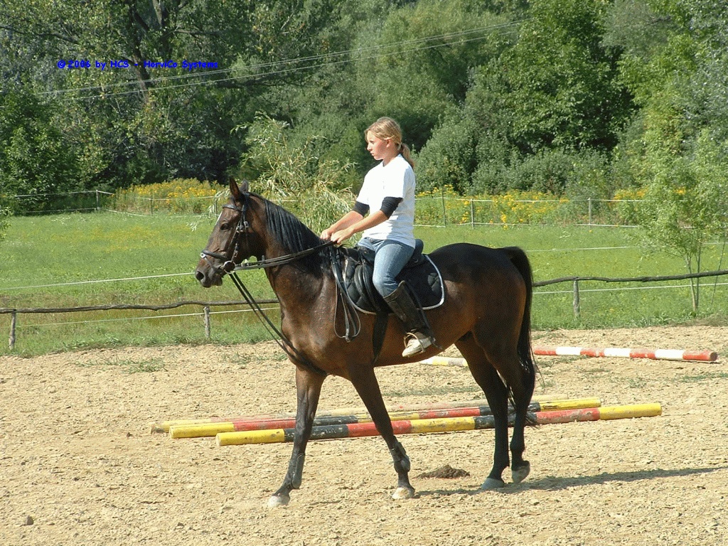 DSCF0022