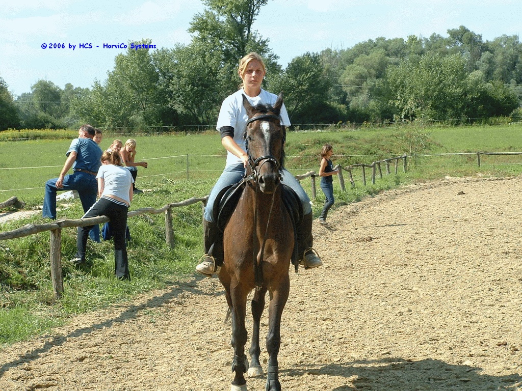 DSCF0023