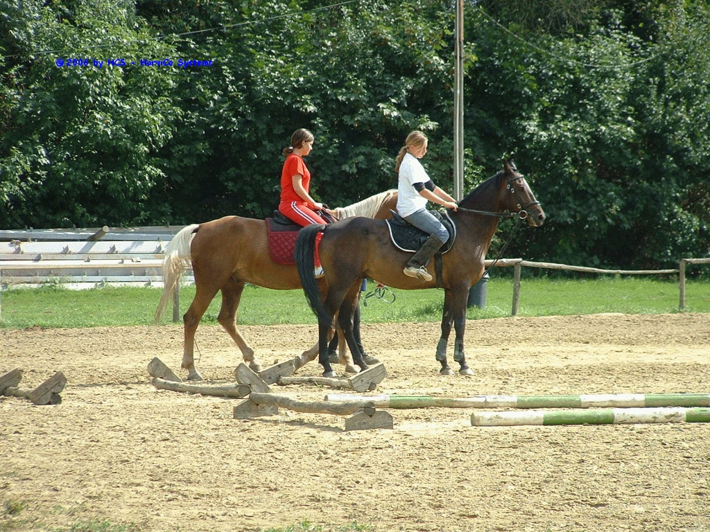 DSCF0033
