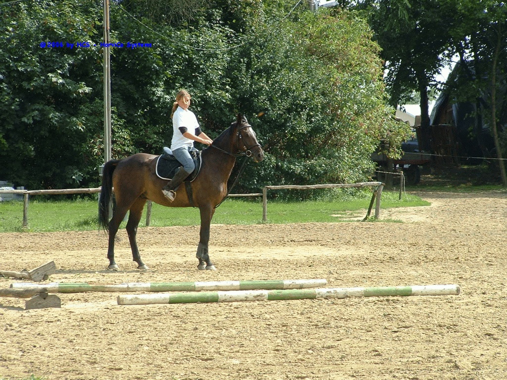 DSCF0034