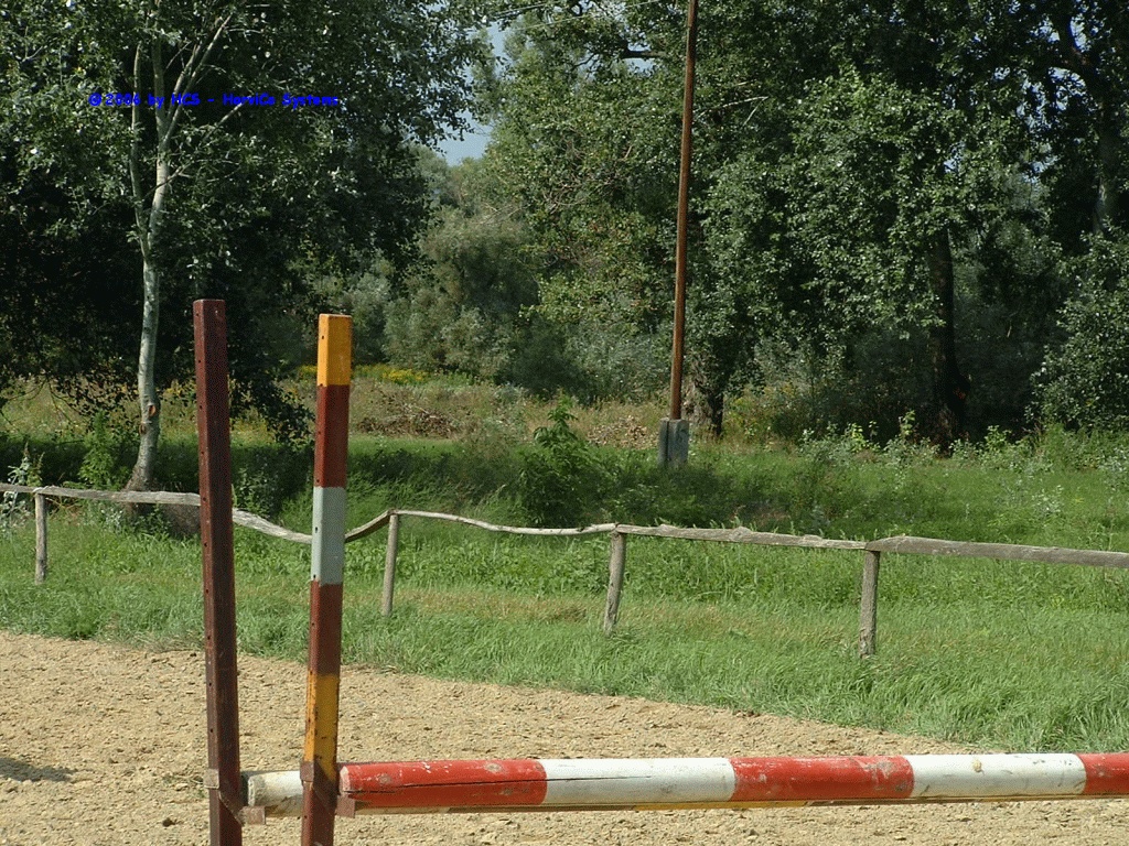 DSCF0037