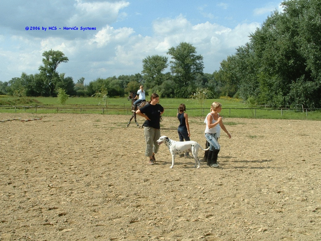 DSCF0039