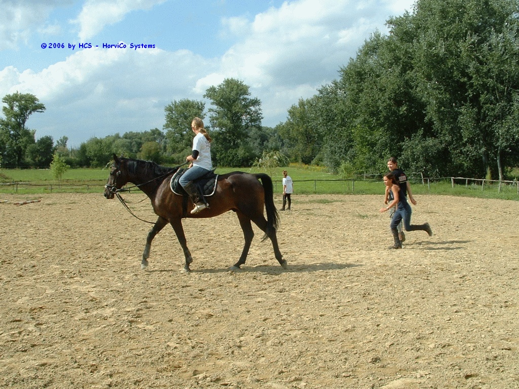 DSCF0058
