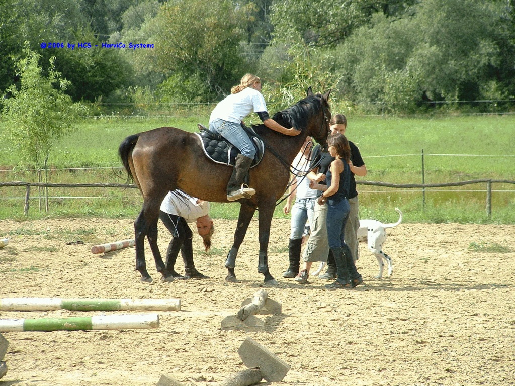 DSCF0059
