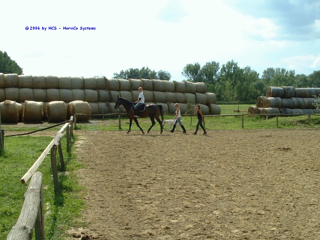 DSCF0070