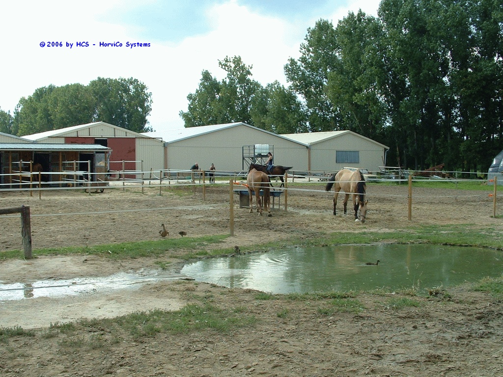 DSCF0084