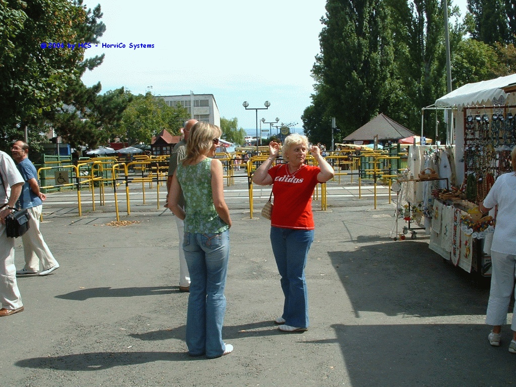 DSCF0006
