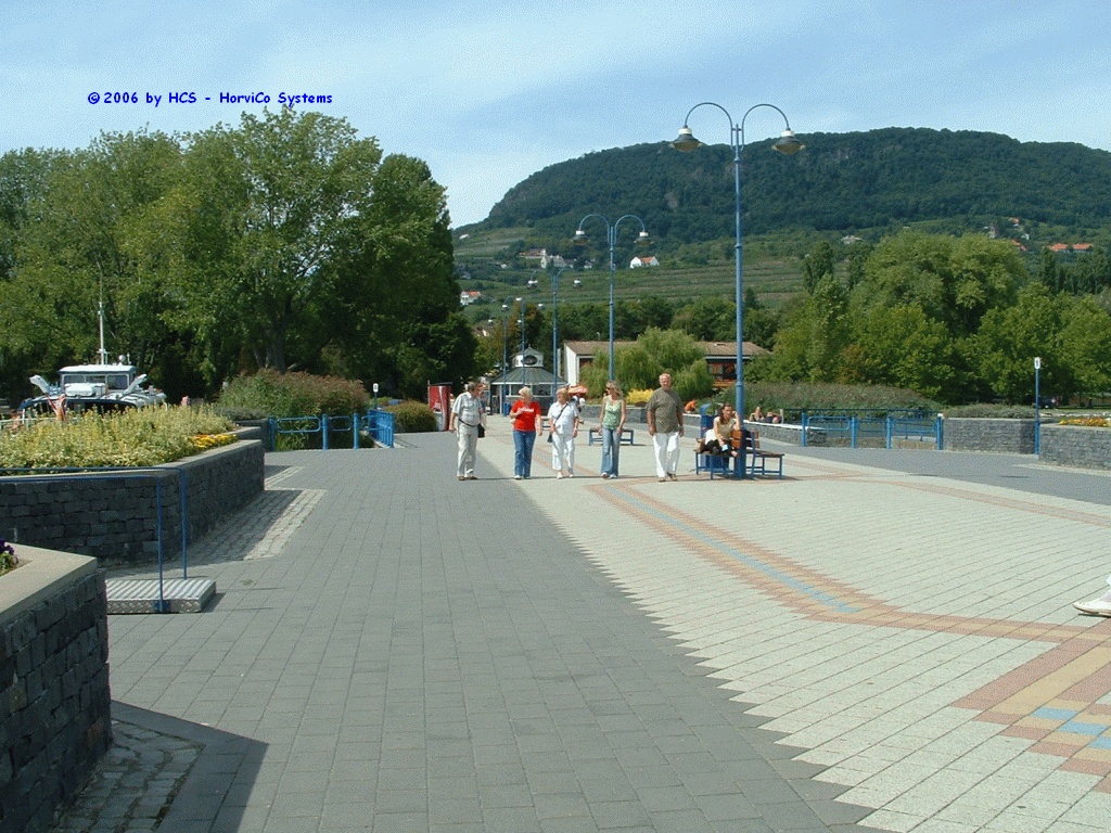 DSCF0016
