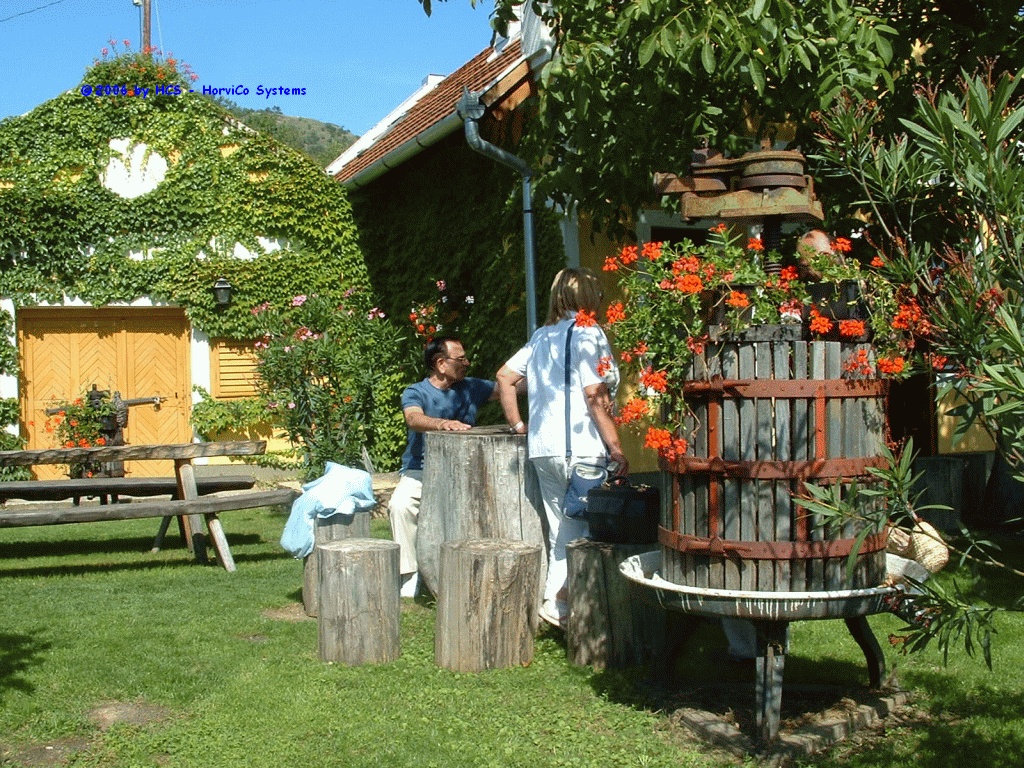 DSCF0061