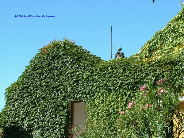 DSCF0074