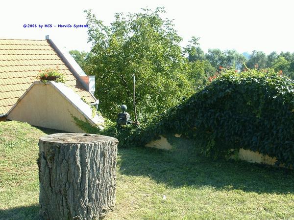 DSCF0081