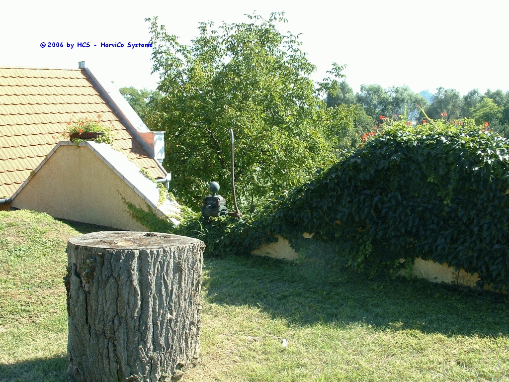 DSCF0081