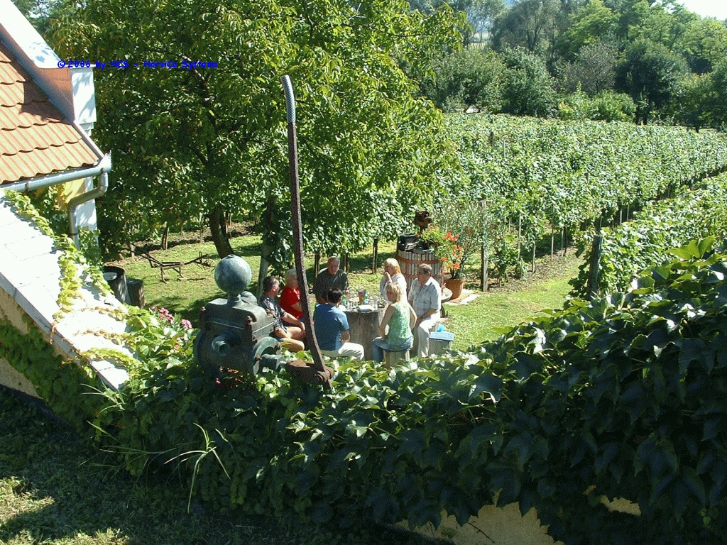 DSCF0084