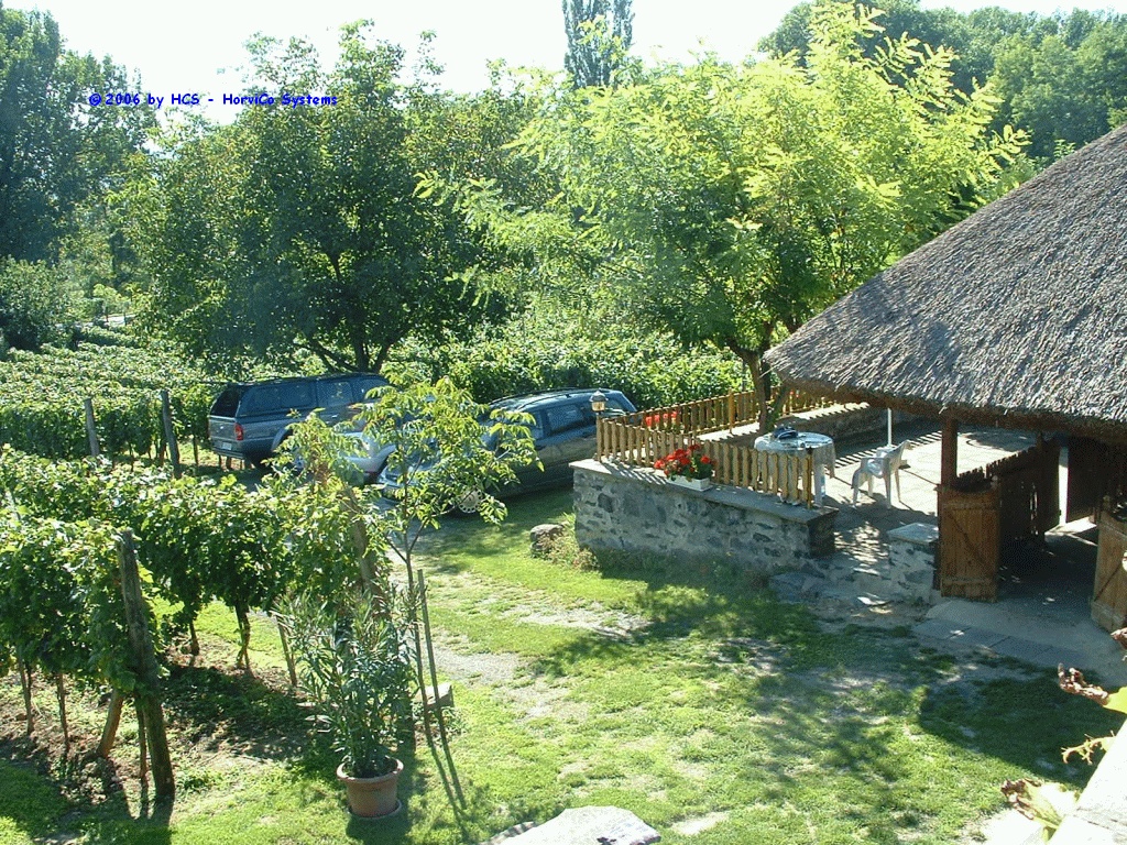 DSCF0087