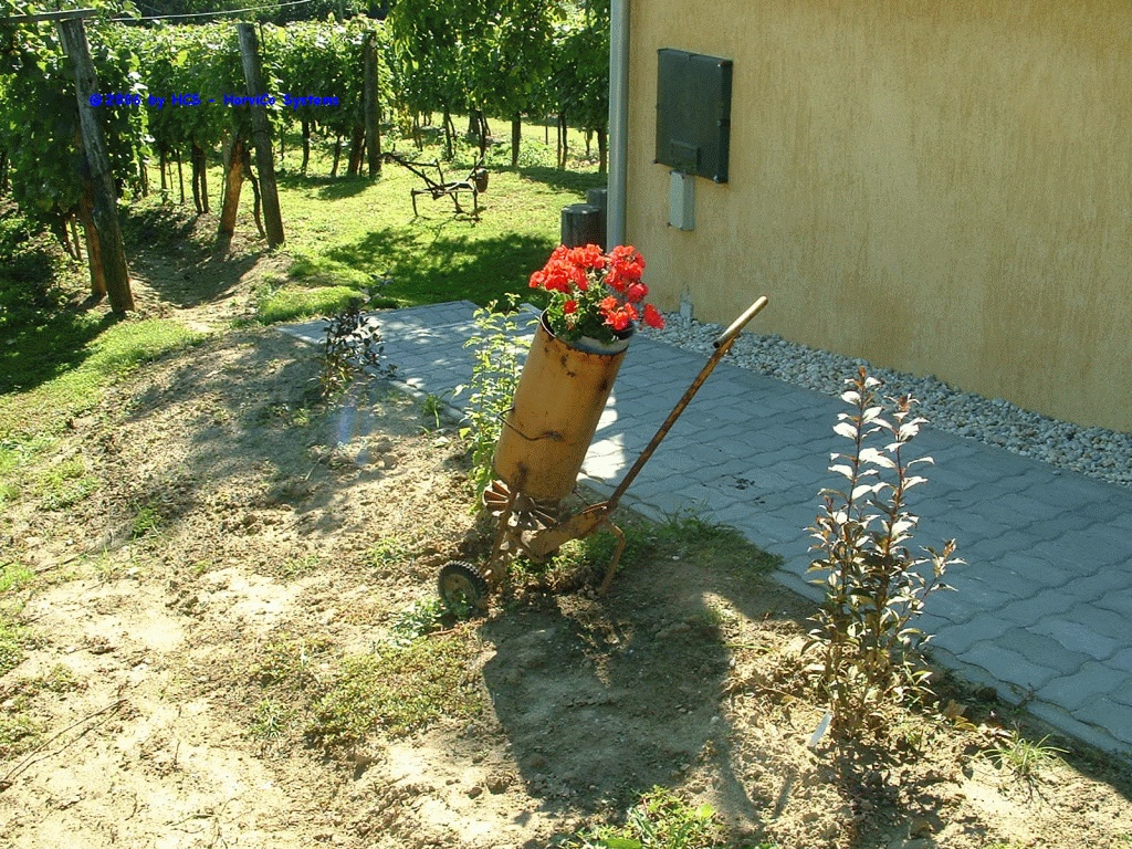 DSCF0091