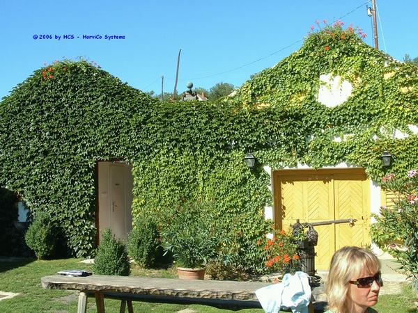 DSCF0099