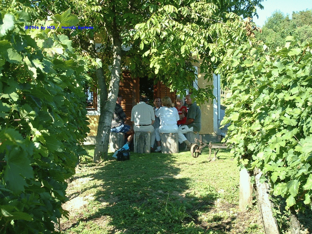 DSCF0113