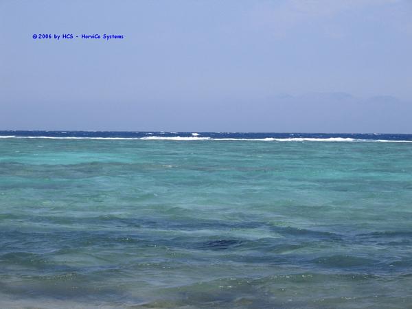 IMG_0009