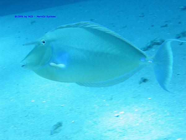IMG_0056