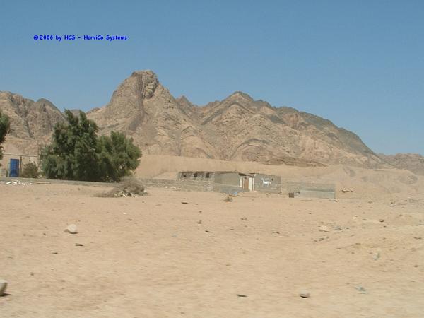 DSCF0043