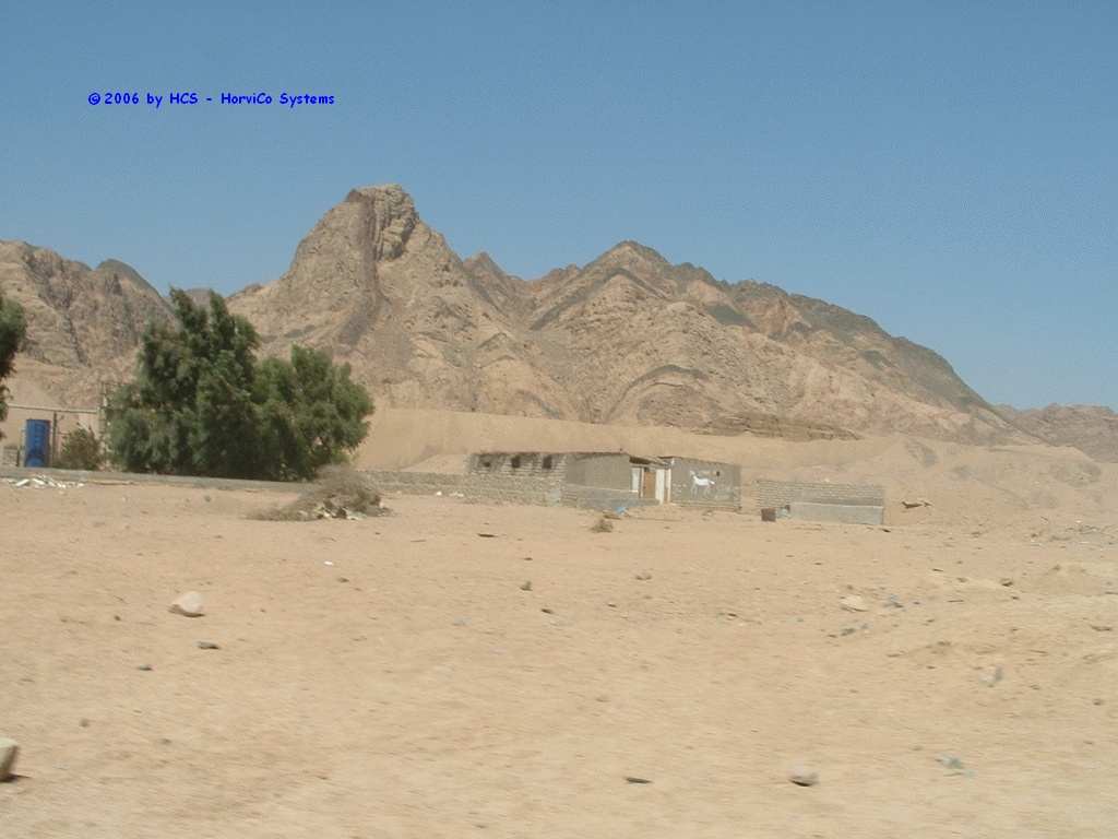 DSCF0043