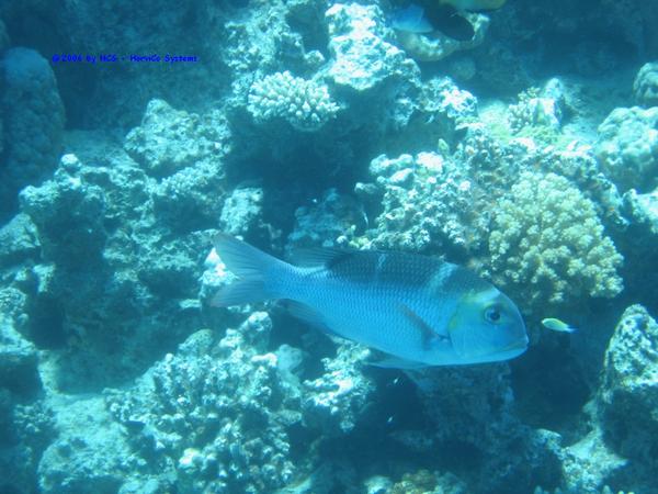 IMG_0094
